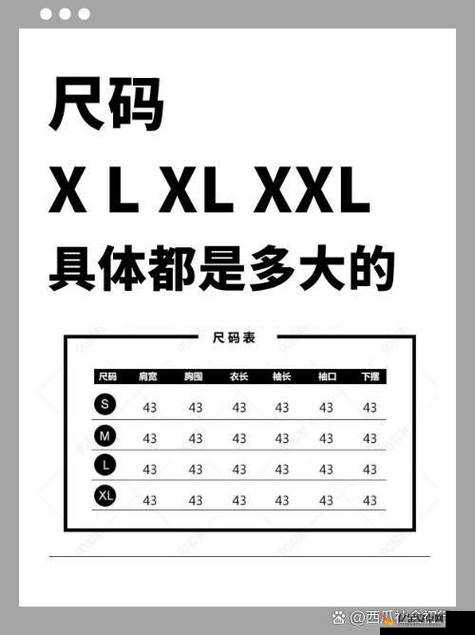 欧洲码与日本码专线：探索国际尺码标准背后的商业机遇