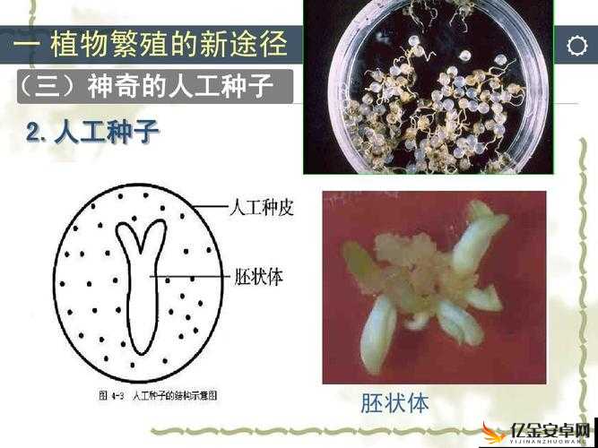 麻豆精产三产最简单处理方法之详细解读与实际应用举例