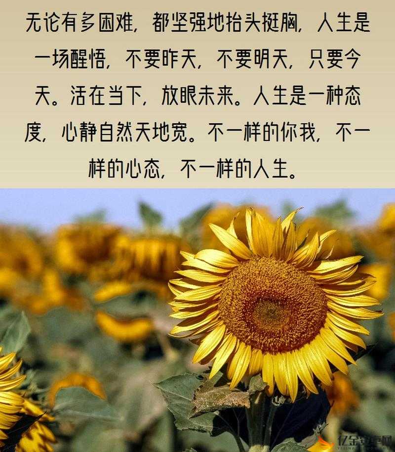 黑暗正能量inphp：探索背后的积极力量与深远影响